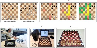 Expertise-dependent visuocognitive performance of chess players in mating tasks: evidence from eye movements during task processing